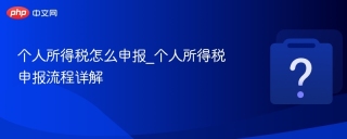 个人所得税怎么申报_个人所得税申报流程详解