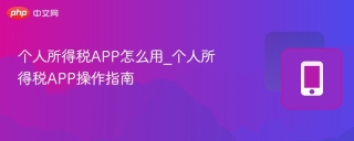 个人所得税APP怎么用_个人所得税APP操作指南