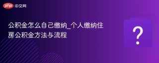 公积金怎么自己缴纳_个人缴纳住房公积金方法与流程