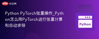 Python PyTorch张量操作_Python怎么用PyTorch进行张量计算和自动求导