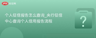 个人征信报告怎么查询_央行征信中心查询个人信用报告流程