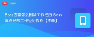 Boss直聘怎么删除工作经历 Boss直聘删除工作经历教程【步骤】