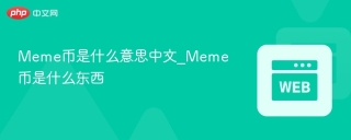 Meme币是什么意思中文_Meme币是什么东西