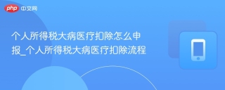 个人所得税大病医疗扣除怎么申报_个人所得税大病医疗扣除流程