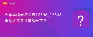 火车票编号怎么查12306_12306查询火车票订单编号方法