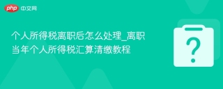 个人所得税离职后怎么处理_离职当年个人所得税汇算清缴教程