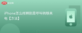 iPhone怎么样辨别是呼叫转移来电【方法】