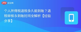 个人所得税退税多久能到账？退税审核与到账时间全解析【经验分享】