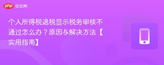 个人所得税退税显示税务审核不通过怎么办？原因与解决方法【实用指南】