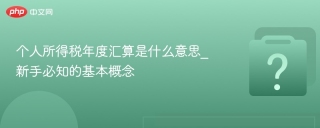 个人所得税年度汇算是什么意思_新手必知的基本概念