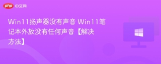 Win11扬声器没有声音 Win11笔记本外放没有任何声音【解决方法】