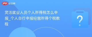 灵活就业人员个人所得税怎么申报_个人自行申报经营所得个税教程