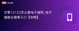 交管12123怎么看电子驾照_电子驾驶证查看入口【攻略】