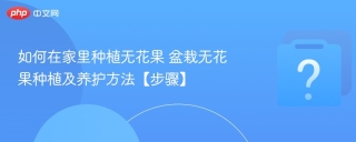 如何在家里种植无花果 盆栽无花果种植及养护方法【步骤】 - php中文网