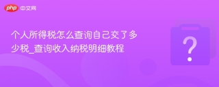 个人所得税怎么查询自己交了多少税_查询收入纳税明细教程