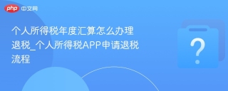 个人所得税年度汇算怎么办理退税_个人所得税APP申请退税流程