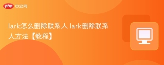 lark怎么删除联系人 lark删除联系人方法【教程】