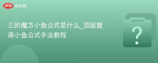 三阶魔方小鱼公式是什么_顶层复原小鱼公式手法教程 - php中文网