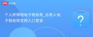 个人所得税电子税务局_自然人电子税务局官网入口登录