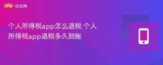 个人所得税app怎么退税 个人所得税app退税多久到账