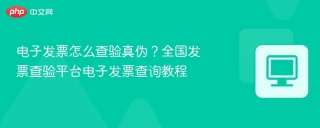 电子发票怎么查验真伪？全国发票查验平台电子发票查询教程