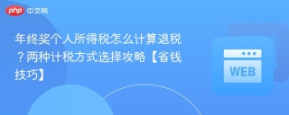 年终奖个人所得税怎么计算退税？两种计税方式选择攻略【省钱技巧】