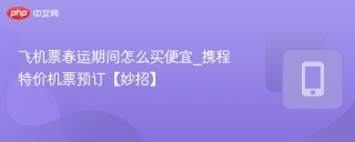 飞机票春运期间怎么买便宜_携程特价机票预订【妙招】