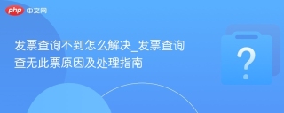 发票查询不到怎么解决_发票查询查无此票原因及处理指南