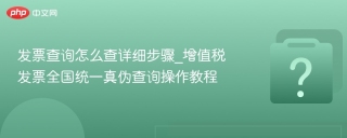 发票查询怎么查详细步骤_增值税发票全国统一真伪查询操作教程