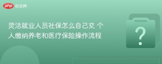 灵活就业人员社保怎么自己交 个人缴纳养老和医疗保险操作流程