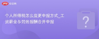 个人所得税怎么变更申报方式_工资薪金与劳务报酬合并申报