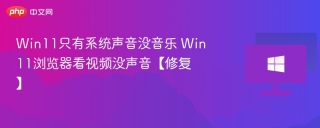 Win11只有系统声音没音乐 Win11浏览器看视频没声音【修复】