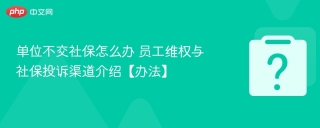 单位不交社保怎么办 员工维权与社保投诉渠道介绍【办法】