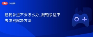 鹅鸭杀进不去怎么办_鹅鸭杀进不去游戏解决方法