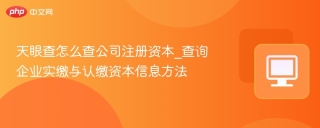 天眼查怎么查公司注册资本_查询企业实缴与认缴资本信息方法