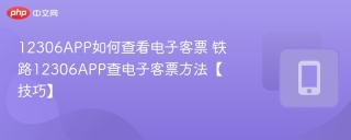 12306APP如何查看电子客票 铁路12306APP查电子客票方法【技巧】