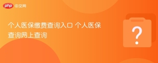 个人医保缴费查询入口 个人医保查询网上查询