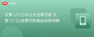 交管12123怎么交违章罚款 交管12123违章罚款缴纳流程详解