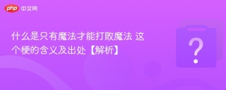 什么是只有魔法才能打败魔法 这个梗的含义及出处【解析】