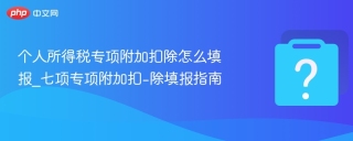 个人所得税专项附加扣除怎么填报_七项专项附加扣-除填报指南