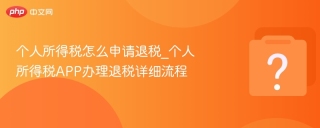 个人所得税怎么申请退税_个人所得税APP办理退税详细流程