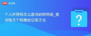 个人所得税怎么查询纳税明细_查询每月个税缴纳记录方法