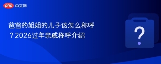 爸爸的姐姐的儿子该怎么称呼?2026过年亲戚称呼介绍 - php中文网