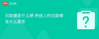 回旋镖是什么梗 网络上的回旋镖是什么意思