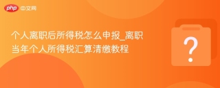 个人离职后所得税怎么申报_离职当年个人所得税汇算清缴教程
