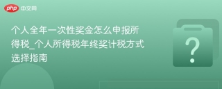 个人全年一次性奖金怎么申报所得税_个人所得税年终奖计税方式选择指南