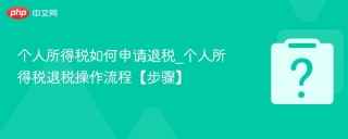 个人所得税如何申请退税_个人所得税退税操作流程【步骤】