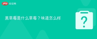 黑草莓是什么草莓品种?味道怎么样 - php中文网