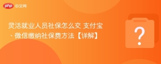 灵活就业人员社保怎么交​ 支付宝、微信缴纳社保费方法【详解】