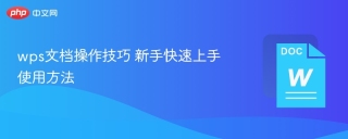 wps文档操作技巧 新手快速上手使用方法